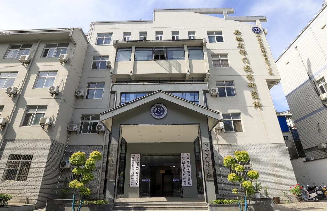 国家级非遗祁门蛇伤疗法，年救680余人创98.6%治愈率