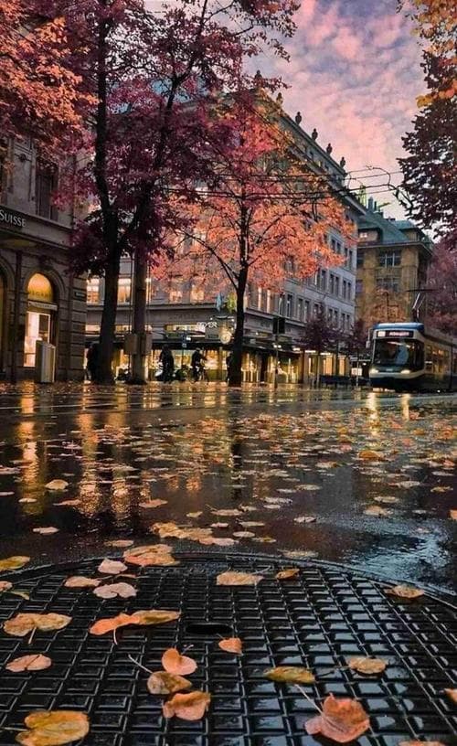 雨中有哪些美丽的景色？雨中风景：细数雨天中的美丽瞬间!
