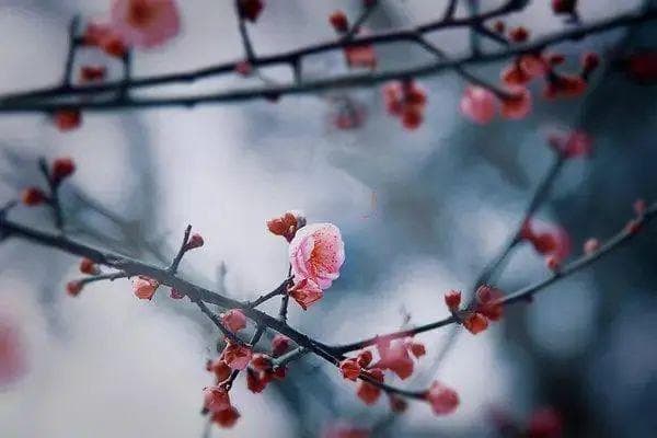 地理视角说“立春”