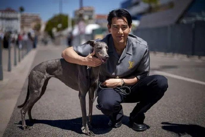 盘点获得戛纳“狗狗棕榈奖”的银幕小狗