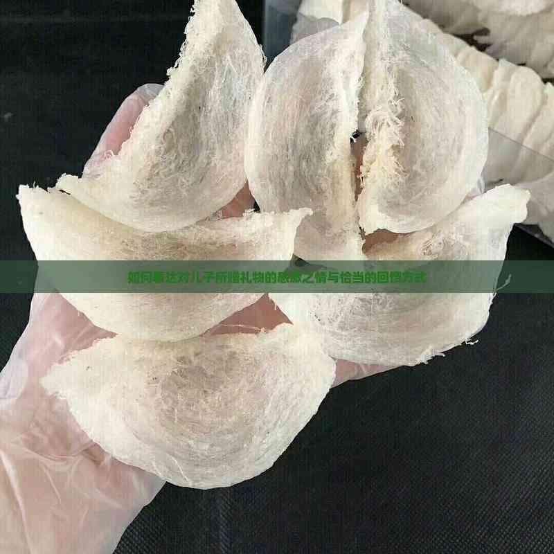 如何表达对儿子所赠礼物的感激之情与恰当的回馈方式