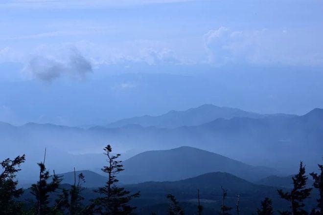 青山不语仍自在，人稳言少亦从容