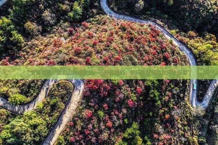 全面指南：峨眉山禅修之旅——行程规划、修行体验与自然风光探索