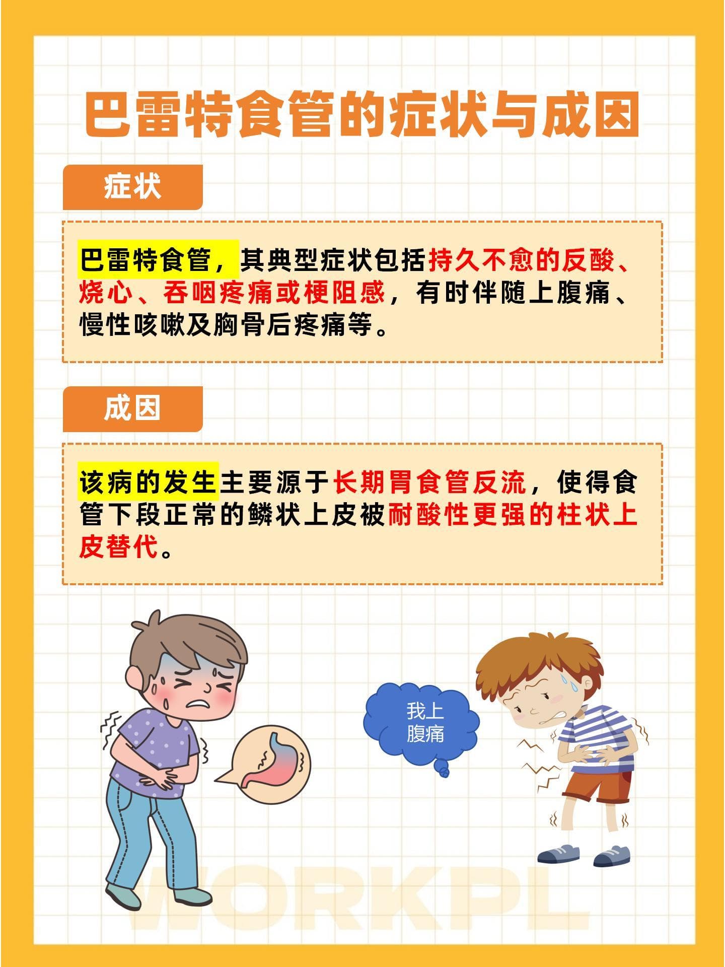 巴雷特食管：从症状到应对策略的全方位解析