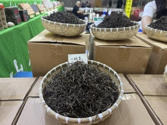 得闲来饮茶！2024广州茶博会在广交会展馆开幕