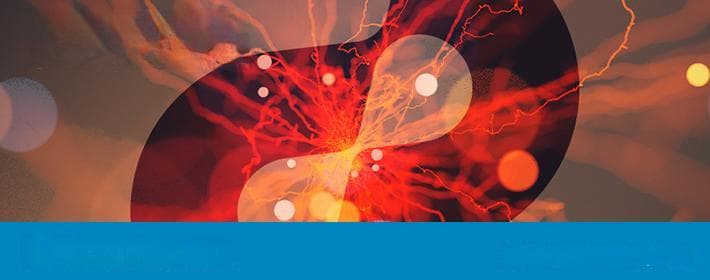 兰科种子共生萌发机制研究取得新进展