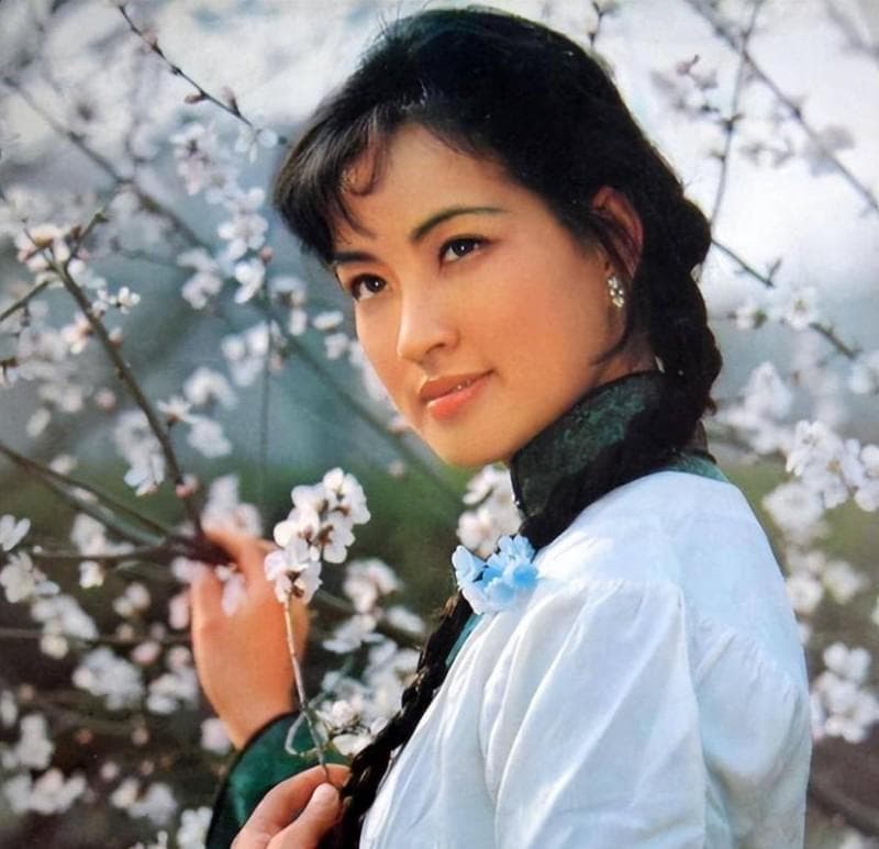 梅花香自苦寒来——刘晓庆的人生与梅花精神
