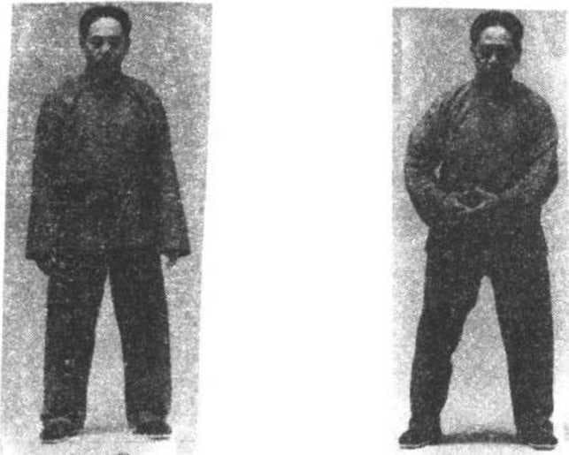 陈式太极拳精选修订本