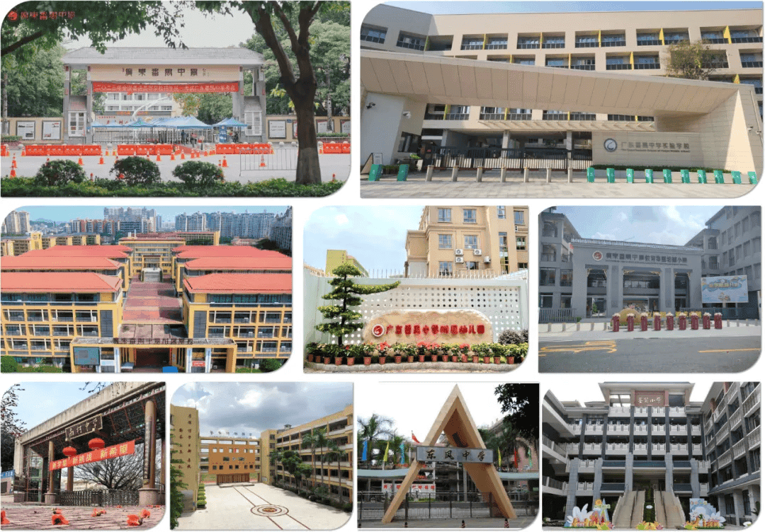 聚合力提质量丨广东番禺中学教育集团：打造特色优质教育集团 助力教育高质量发展