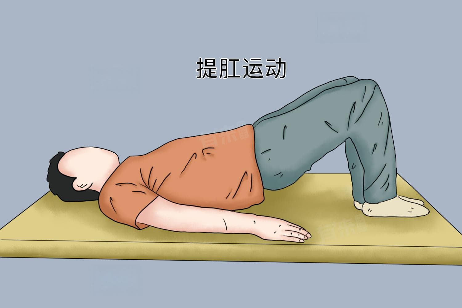 提肛运动的五大好处：从盆底肌肉到肠道健康的全方位提升