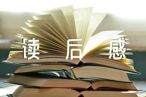 人类群星闪耀时：历史转折中的偶然与必然