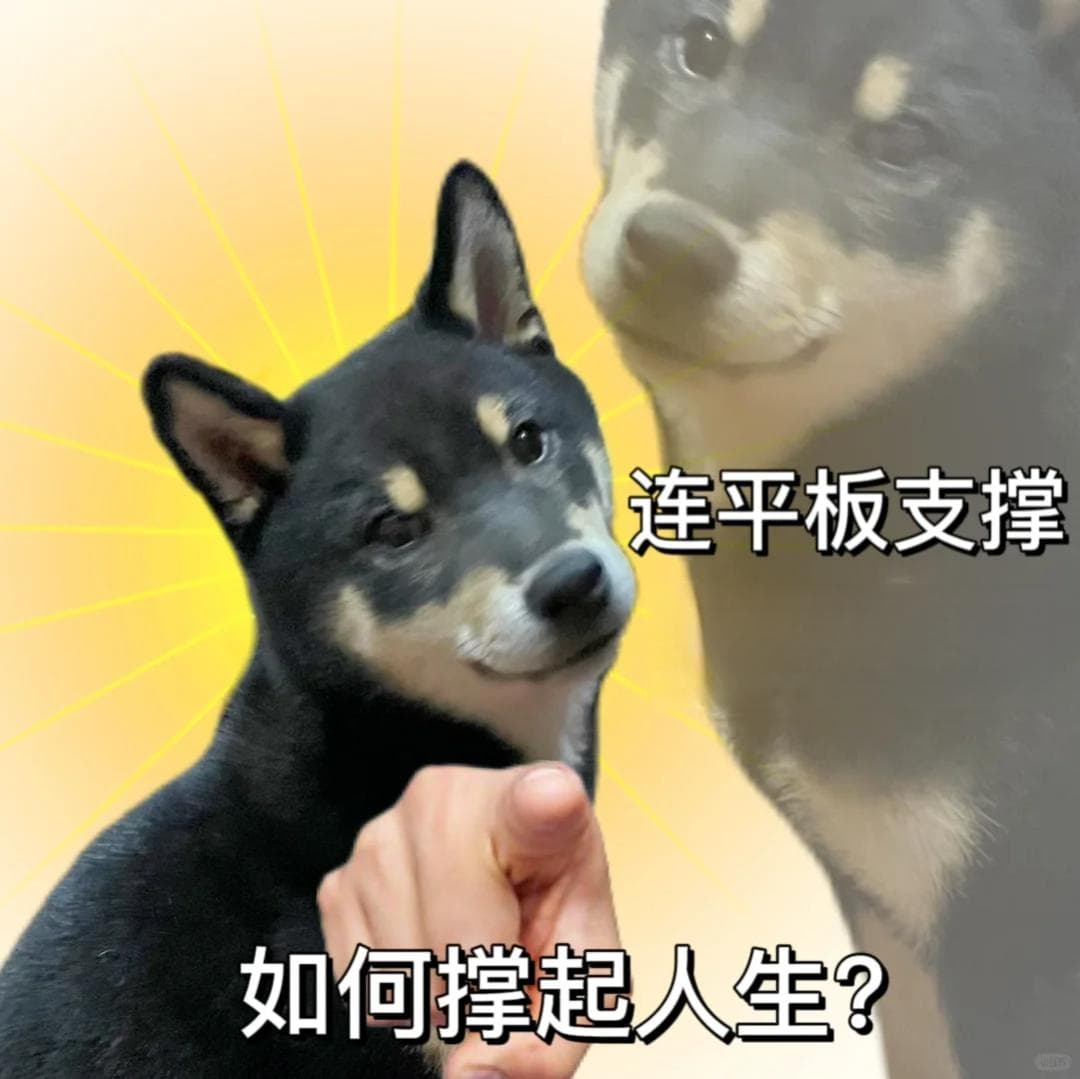 不花钱就能提升免疫力的方法，没有之一