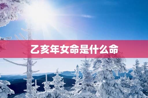 乙亥年女命是什么命