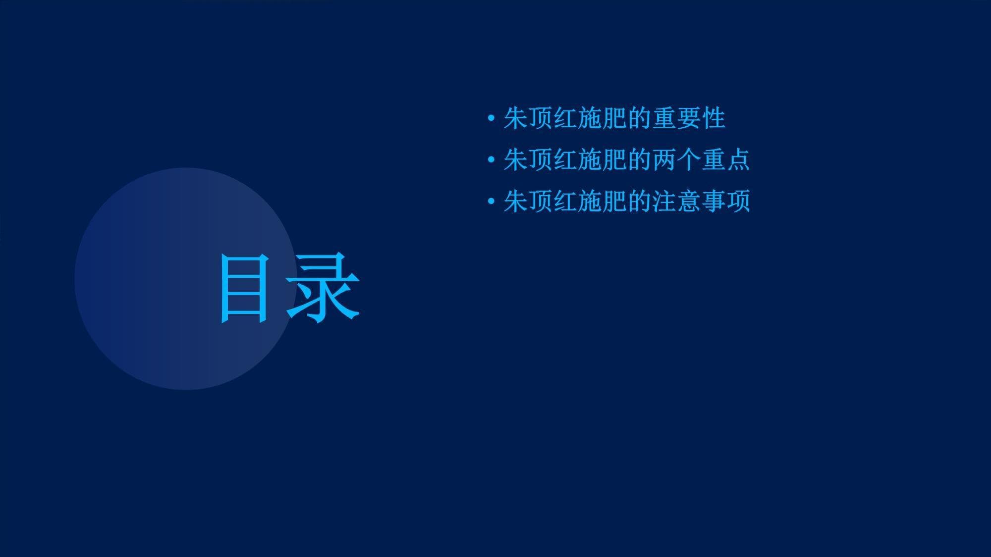 朱顶红施肥应掌握的两个重点