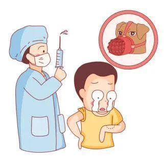 敲黑板！被这些动物咬了不需要打狂犬疫苗