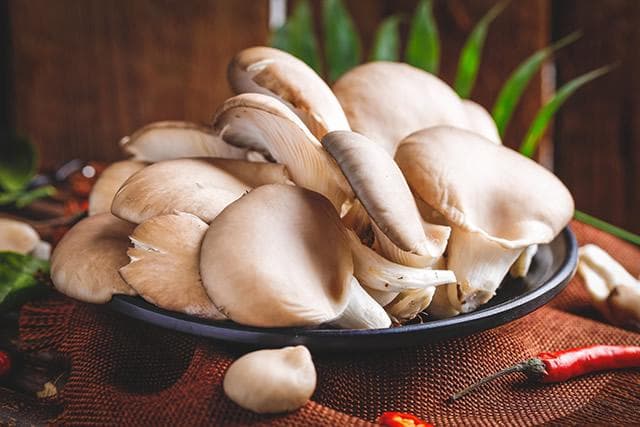 平菇是大朵好还是小朵好？教你挑选新鲜平菇的六大要点