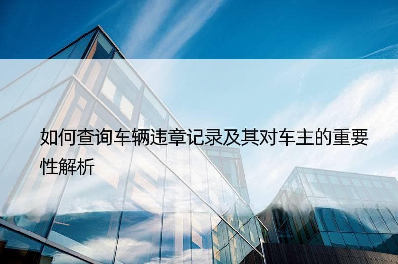 如何查询车辆违章记录及其对车主的重要性解析