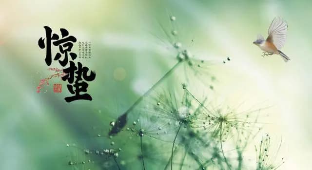 惊蛰至 万物苏，古诗词里的惊蛰，愿在春日里，不负韶华，逐梦前行