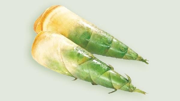 沙虫和土笋的区别：从外形到营养价值的全面解析