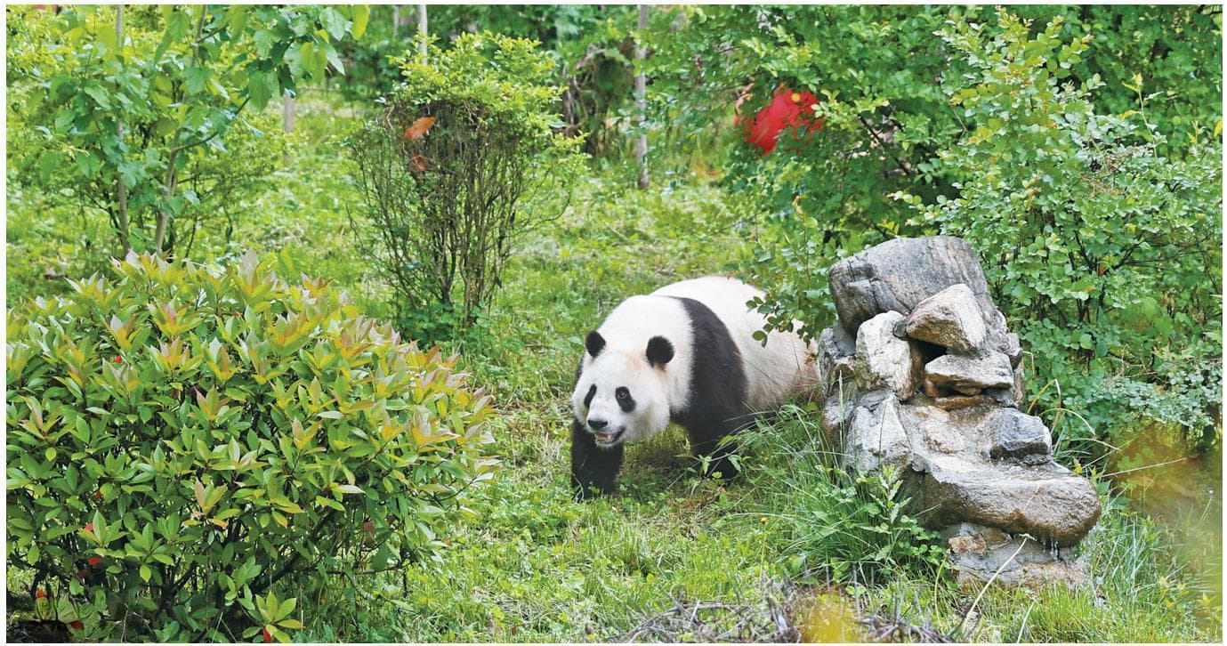陕西生物多样性“家底”知多少