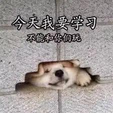 2026医学考研党必看！揭秘全年上岸关键节点