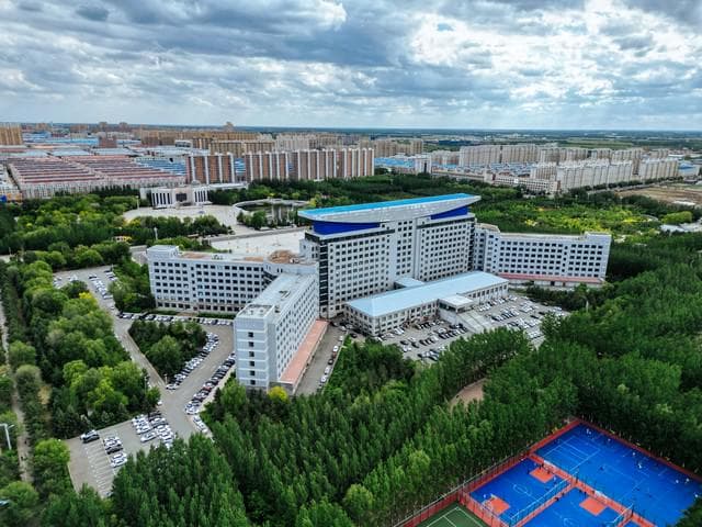 2024年黑龙江各市GDP：绥化1244亿，鸡西622.6亿，伊春370.47亿