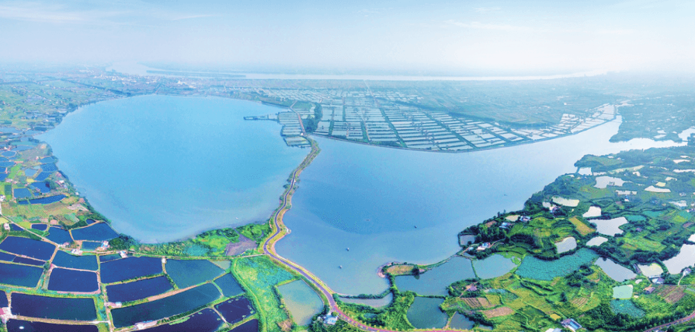 湖北长江三峡地区山水林田湖草生态保护修复工程——枝江市金湖湿地生态修复项目