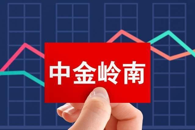 中金岭南拟定增15亿补流还贷 控股股东包揽助优化资本结构