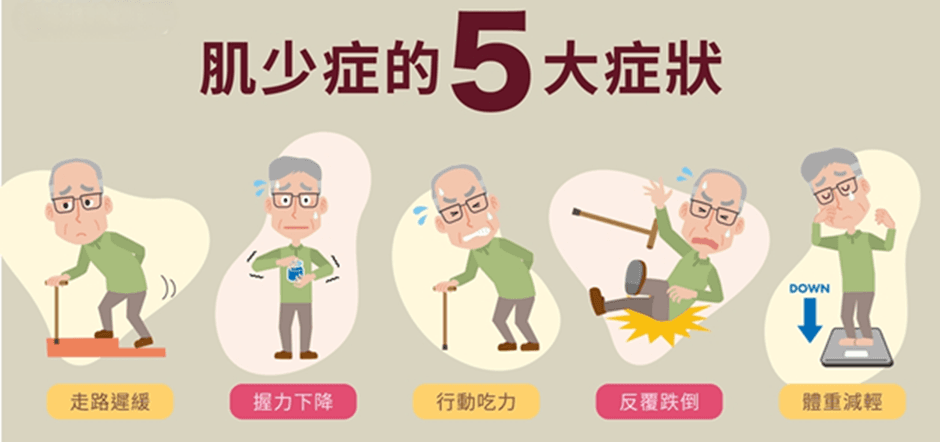 “肌”不可失！这些药物可能导致肌少症→