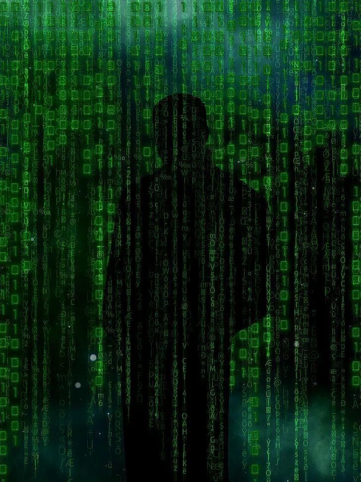 从碎片化到体系化：网络文学批评的进阶之路