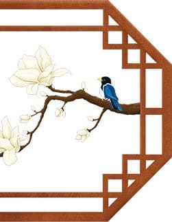 清咽滴丸的功效与临床应用