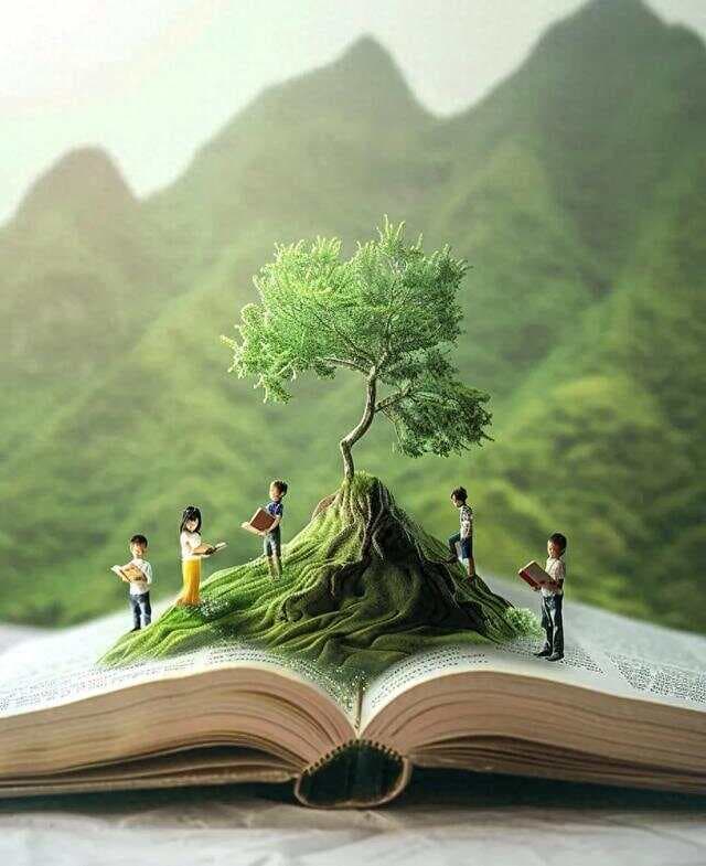 教育中最重要的：培养独立思考与终身学习的能力。