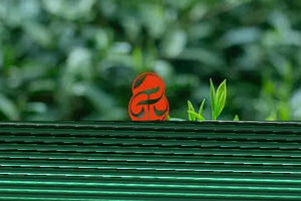 果香肉桂茶的健康功效及作用解析