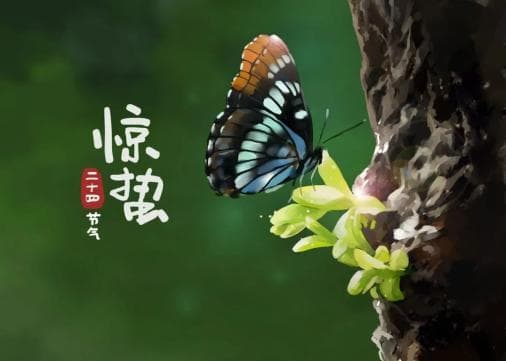 惊蛰：阳和启蛰，万物复苏