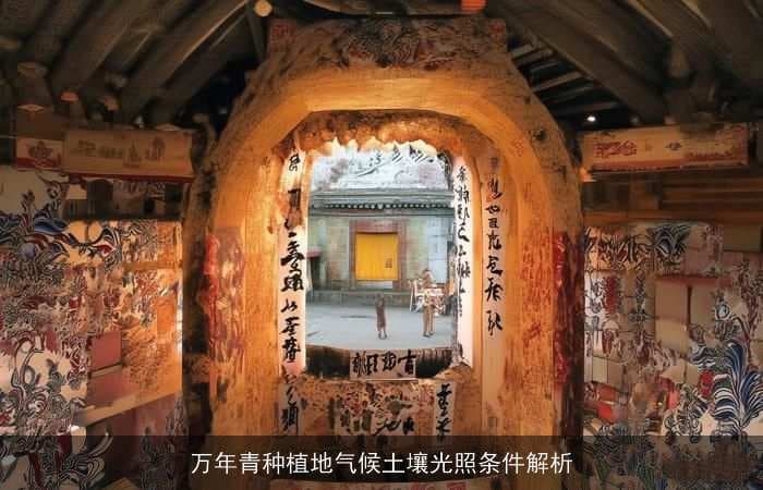 万年青种植地气候土壤光照条件解析