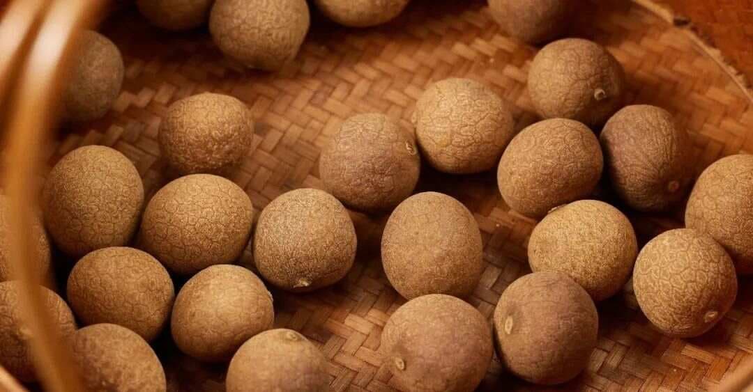 古代道家的一个养生秘法：口嚼桂圆肉