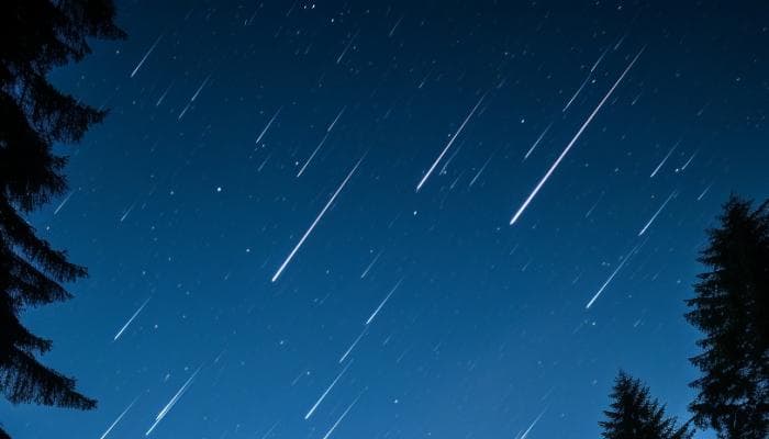 柳宿和皋陶六国：揭秘中国古代天文学中的星宿与民族传说
