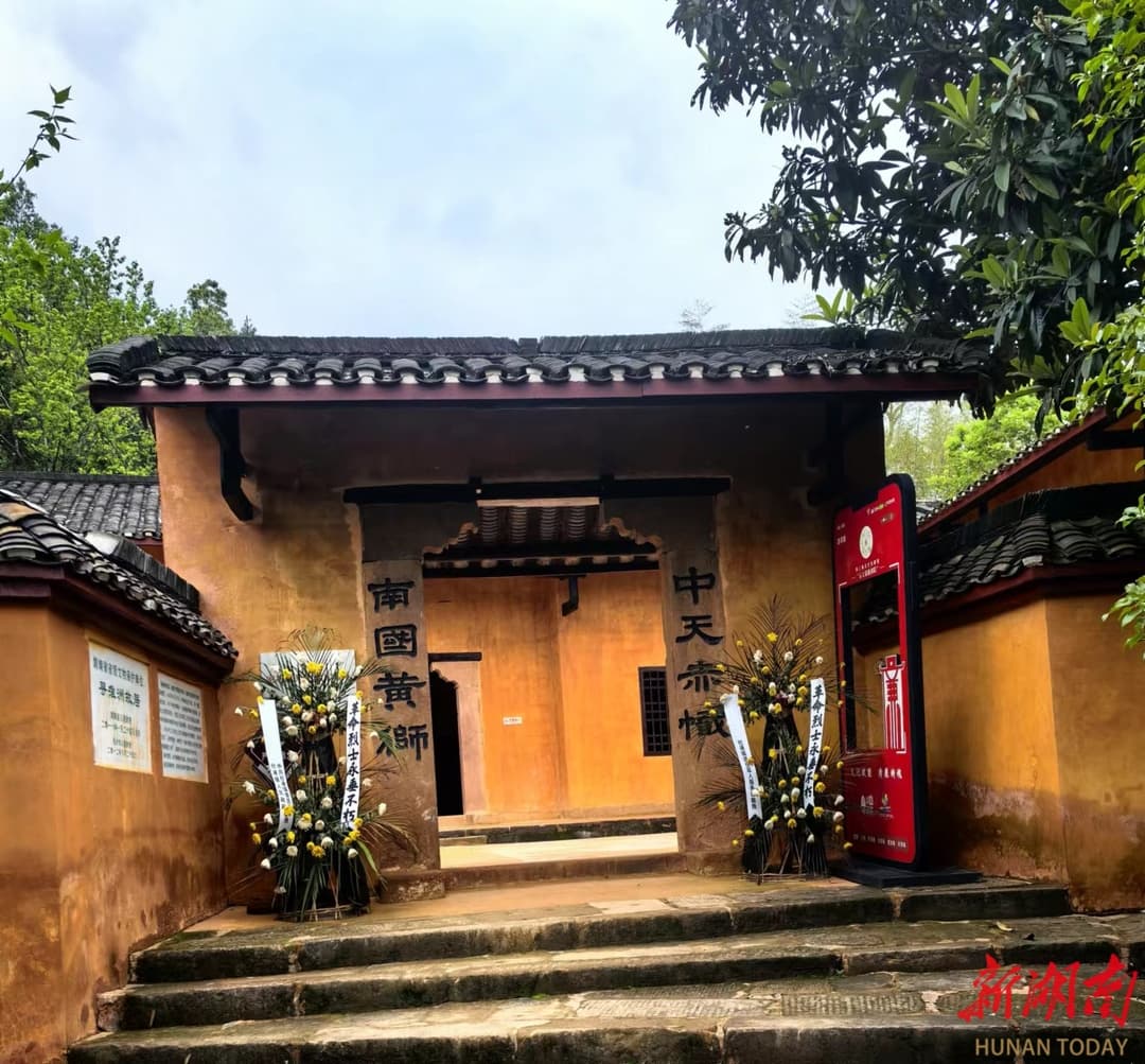 红绿相融淮洲美