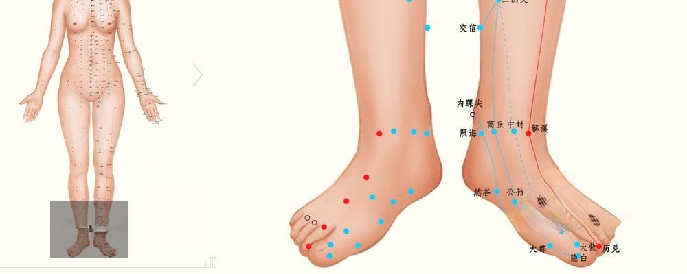 太白穴位位置图及作用：中医养生的重要穴位