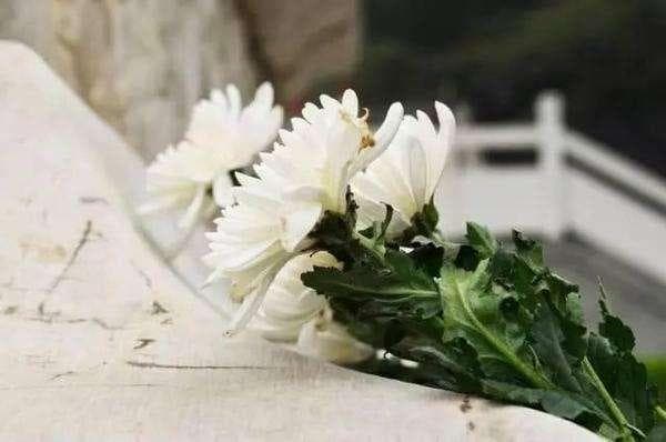 祭祖风俗：不同时间节点与主要形式详解