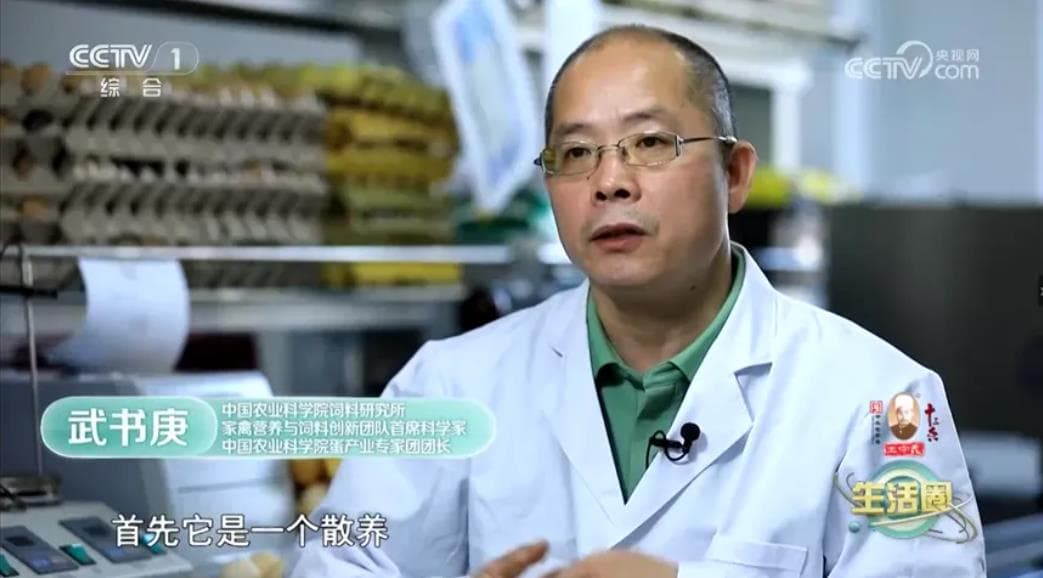 土鸡蛋到底好在哪？中国农业科学院这样说！