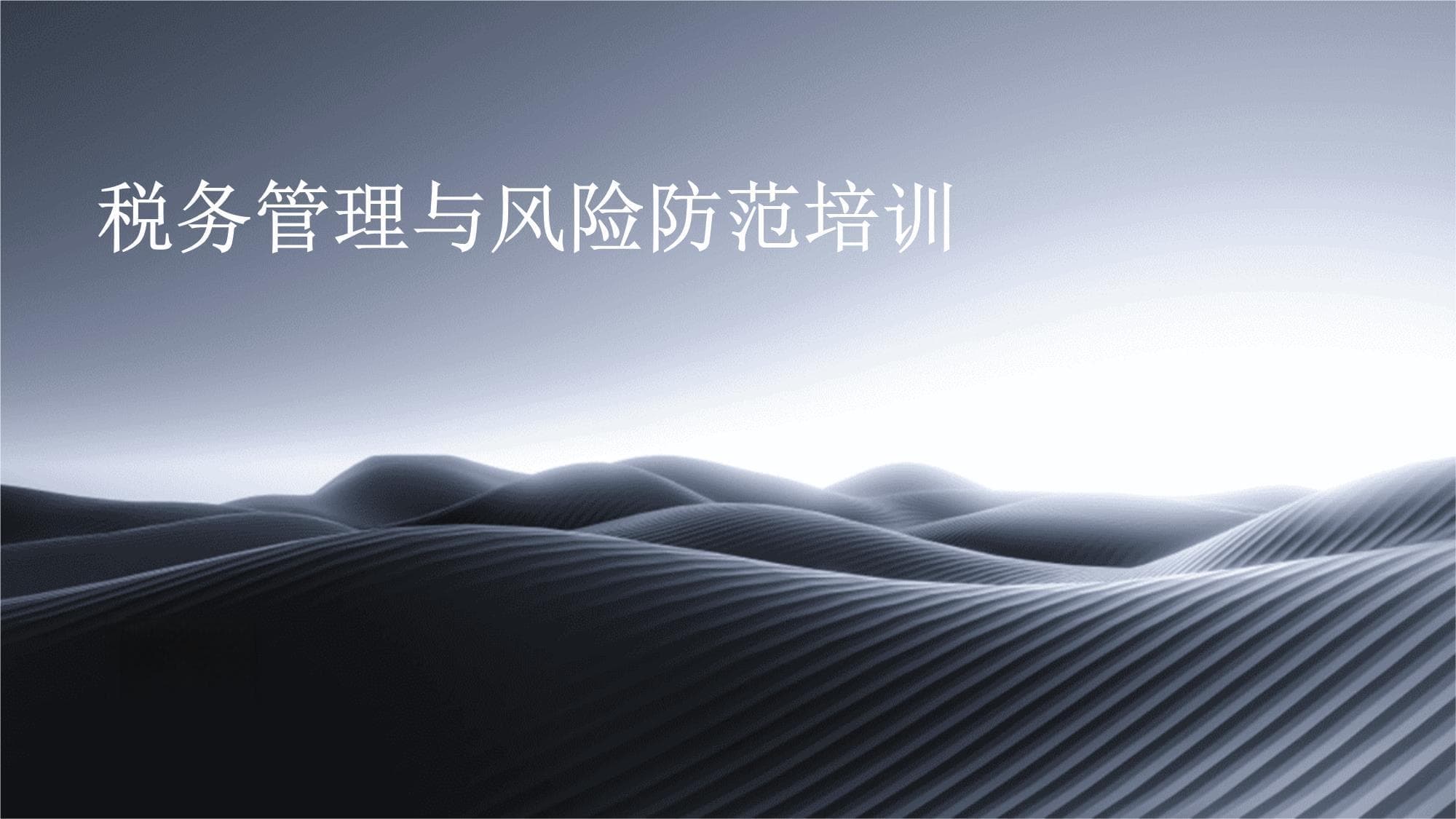 税务管理与风险防范培训