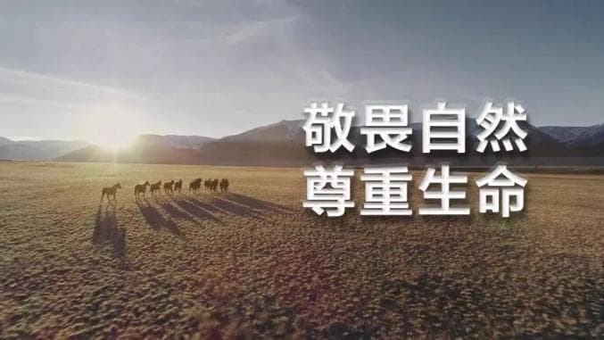 关于野生动物保护，肯定没人告诉你