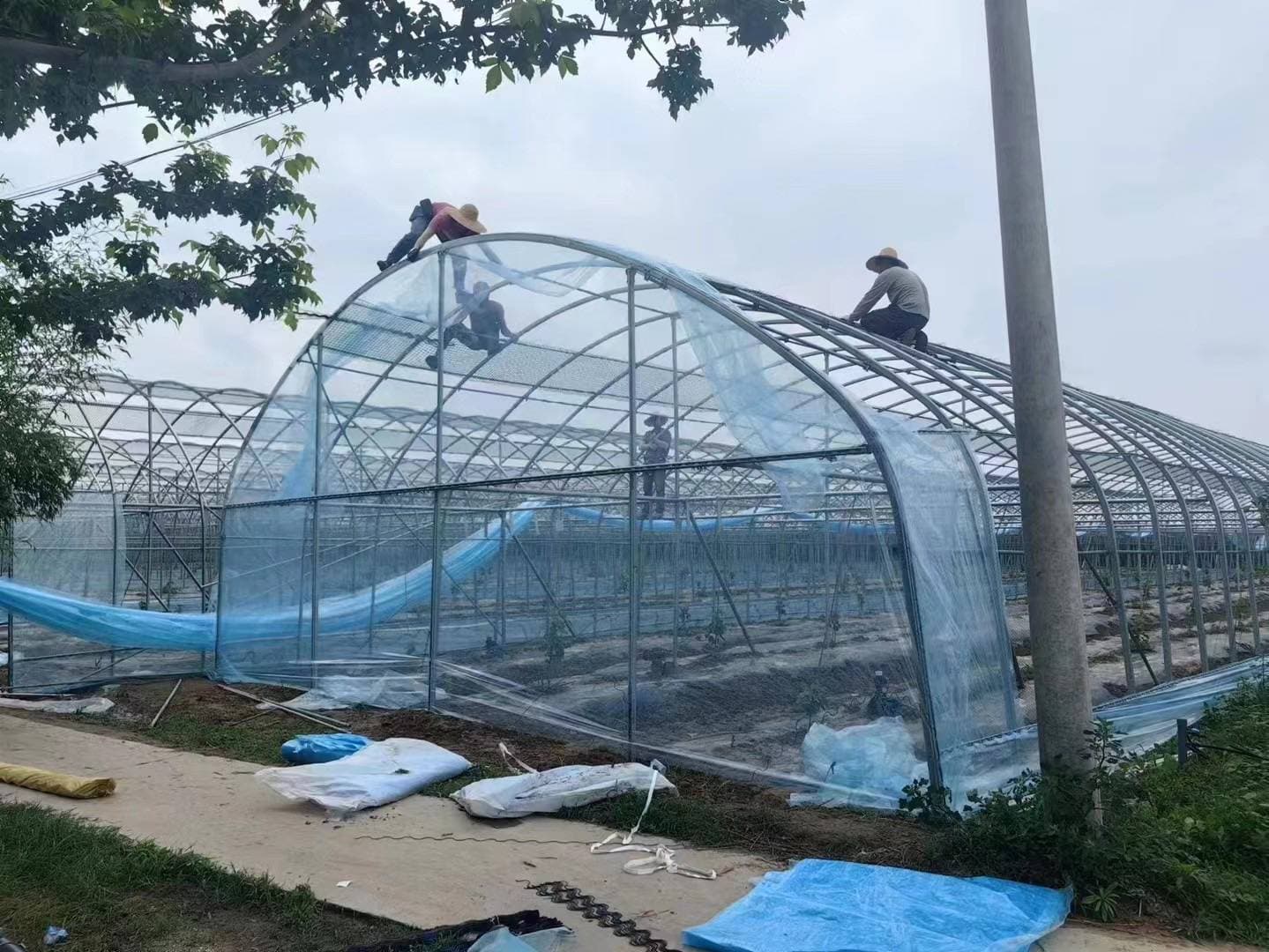 了解PO膜和PE膜的区别，让你少走弯路