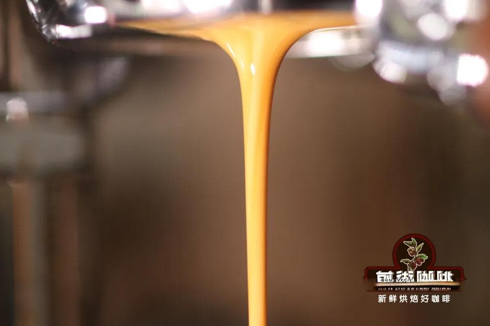 一杯意式浓缩咖啡的制作方法比例步骤 意式咖啡espresso怎么做