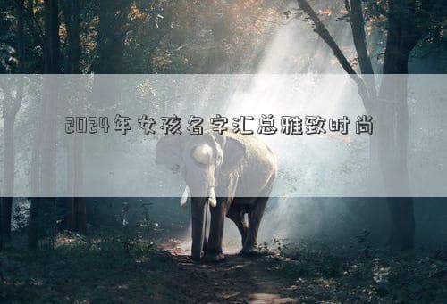 2024年女孩名字汇总雅致时尚 姓名选择指南
