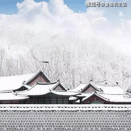 立冬时节南方饮食习俗大盘点：从赤豆饭到姜母鸭