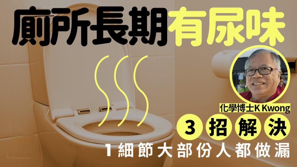 化学博士K Kwong支招：三个实用方法轻松解决厕所尿味问题