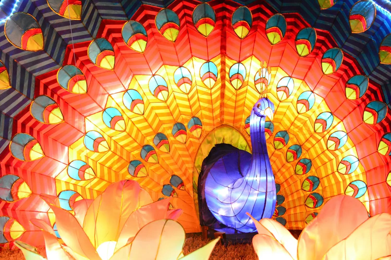 武汉园博园花灯会：68组花灯点亮江城夜空，还有“蒜鸟”等你打卡
