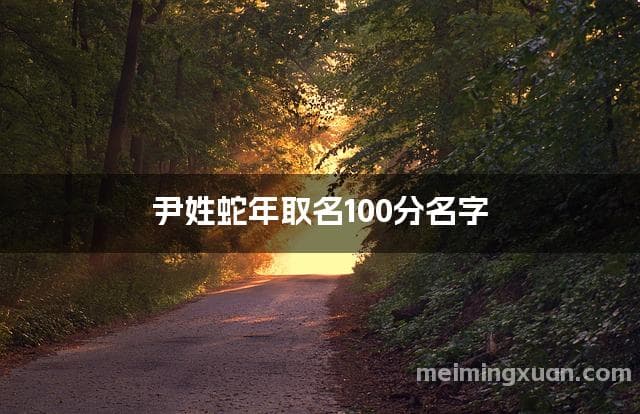 尹姓蛇年取名100分名字
